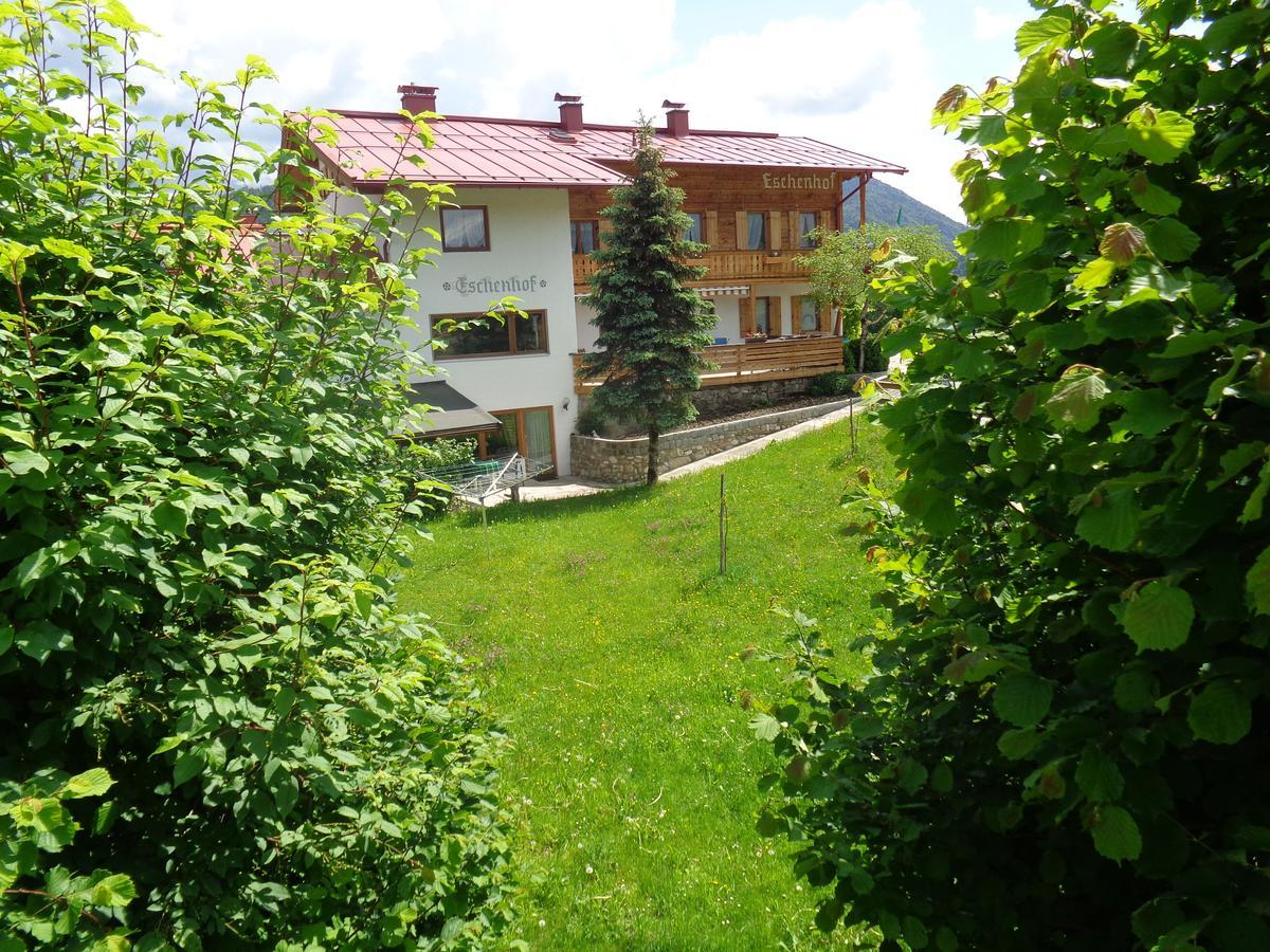 רייט אים וינקל Gaestehaus Eschenhof מראה חיצוני תמונה